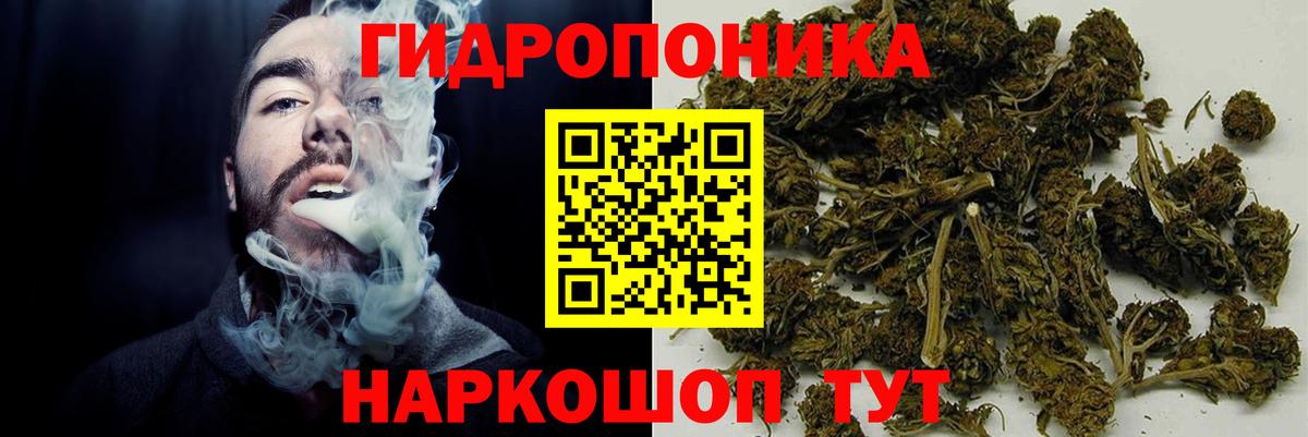 Марихуана конопля Новошахтинск